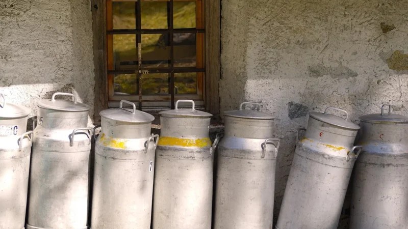 Nabiał na nowo odkryj naturalne smaki