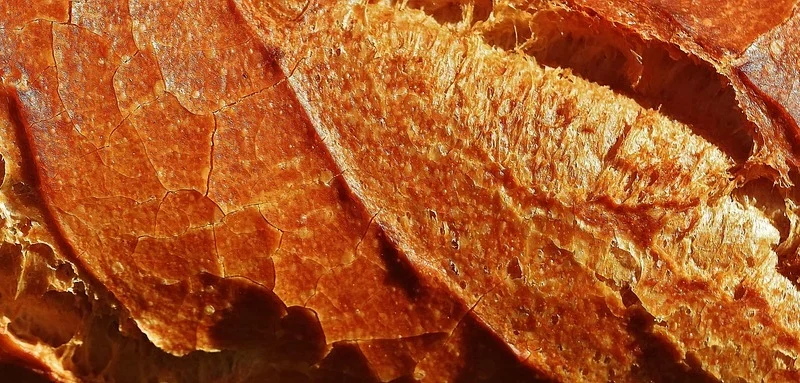 Najlepsze pieczywo we Wrocławiu: Przewodnik po lokalnych piekarniach